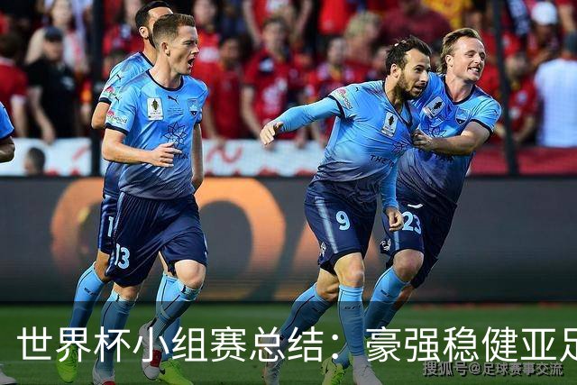 世界杯小组赛总结：豪强稳健亚足联9进2 真正的世界杯才刚开始