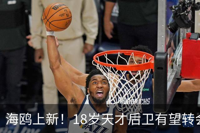 海鸥上新！18岁天才后卫有望转会英格兰，天赋顶级布莱顿要买